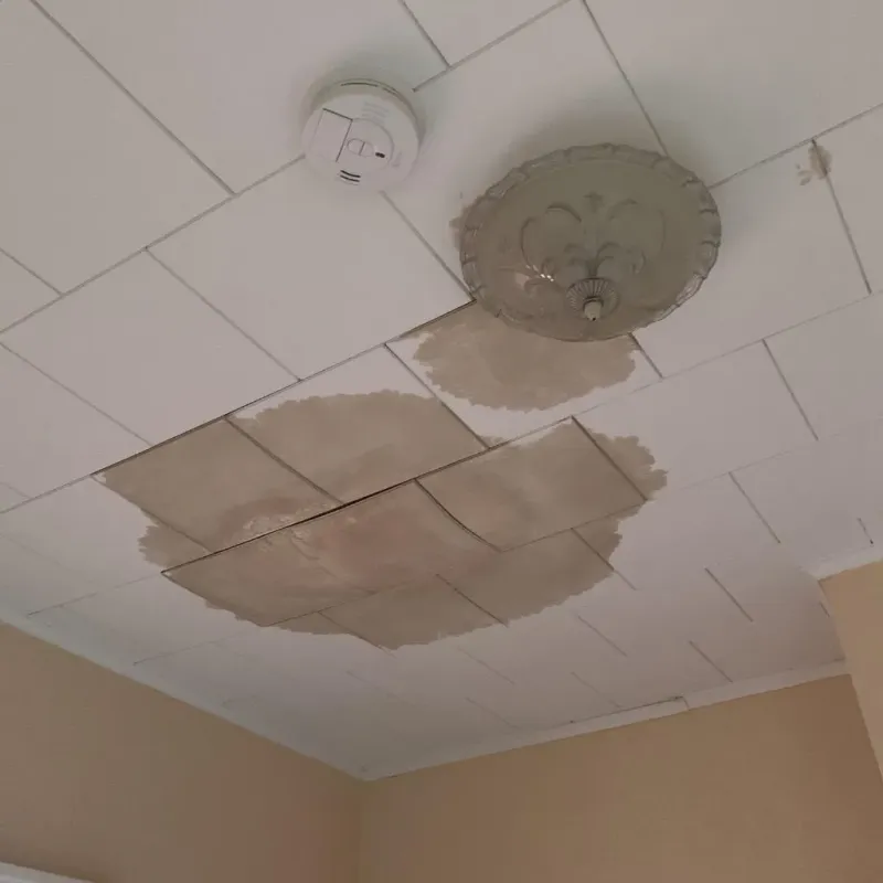 Ceiling Water Damage Repair in Harlingen, TX